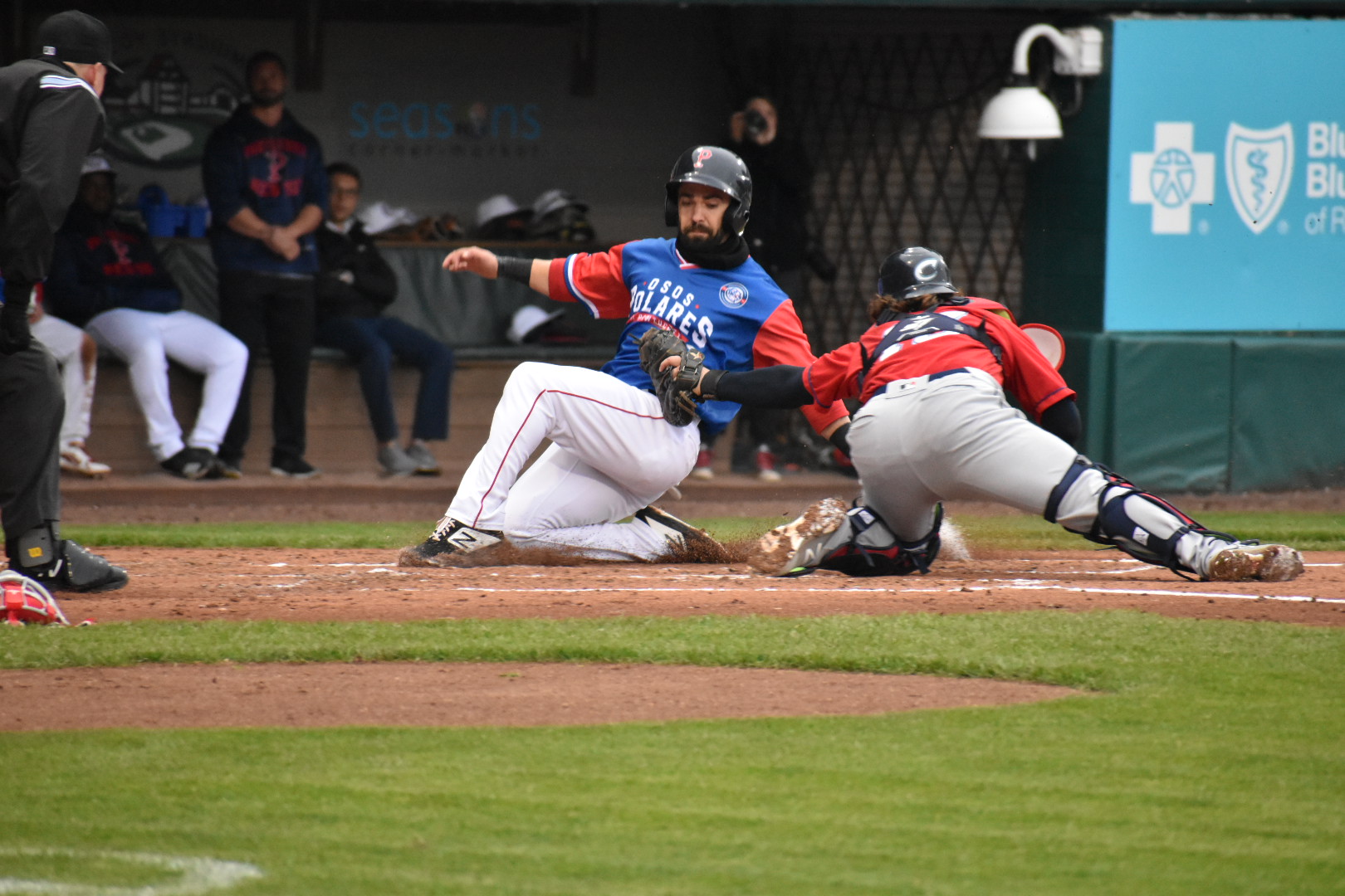 PawSox